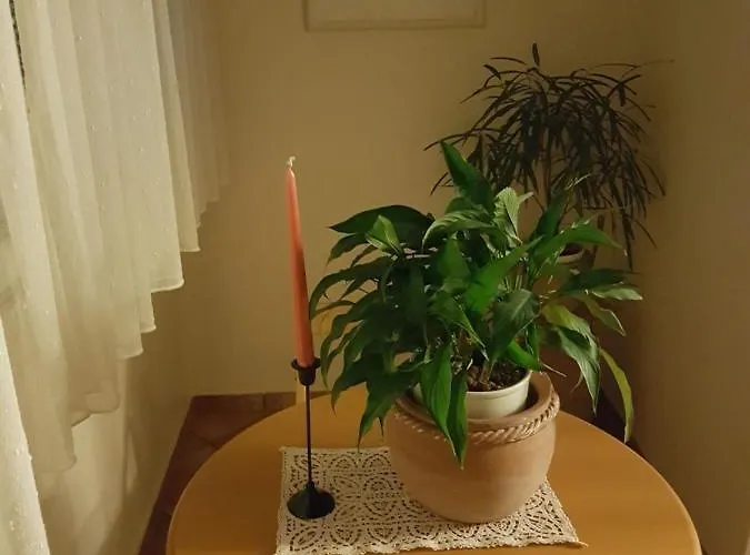 In Zentrumsnaehe Beim Hauptbahnhof Apartman *