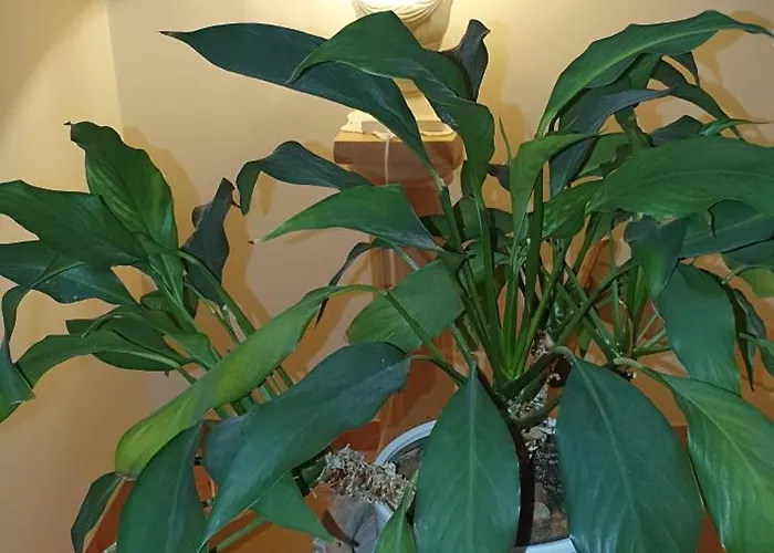 In Zentrumsnaehe Beim Hauptbahnhof Apartman Bécs